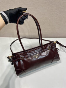 Prada Bonnie Medium 1BA426 Dark Brown-3.jpg