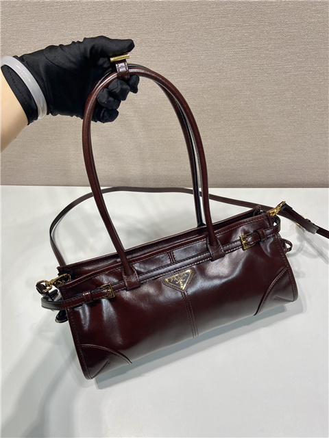 Prada Bonnie Medium 1BA426 Dark Brown-3.jpg