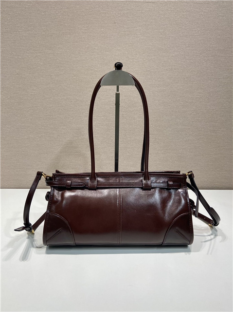 Prada Bonnie Medium 1BA426 Dark Brown-6.jpg