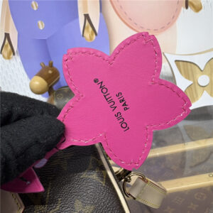 LV x TM Speedy Bandouliere 25 M14174-10.jpg