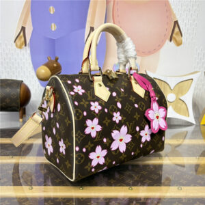 LV x TM Speedy Bandouliere 25 M14174-2.jpg