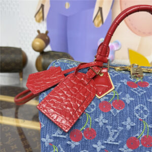 LV x TM Speedy Soft Bandouliere 30 N87627-7.jpg