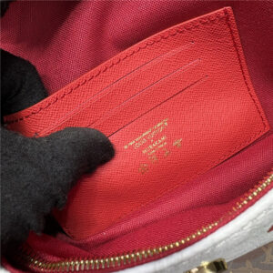 LV x TM Wallet On Chain Ivy M14239-9.jpg