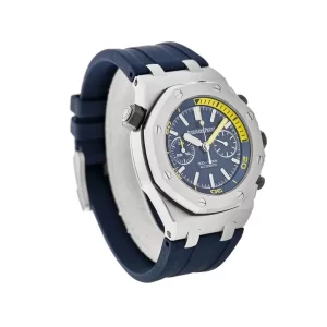 AP Diver 4.webp