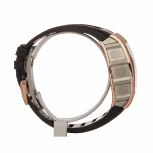 Richard Mille Felipe Massa  