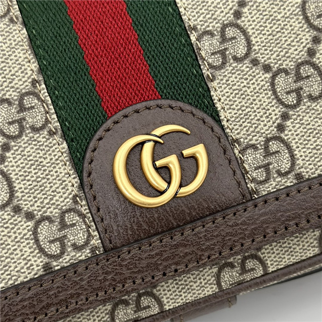 Ophidia Mini Bag 795466 Brown-5.jpg