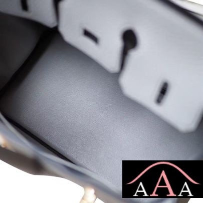 HERMES BIRKIN 25 BAG 4Z GRIS MOUETTE TOGO GHW-2.jpg