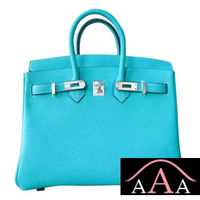 HERMES BIRKIN 25 BAG 7V LAGON TOGO PHW-1.jpg