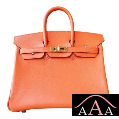 HERMES BIRKIN 25 BAG CK93 ORANGE CHEVRE MYZORE PHW-1.jpg