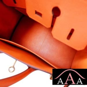 HERMES BIRKIN 25 BAG CK93 ORANGE CHEVRE MYZORE PHW-5.jpg