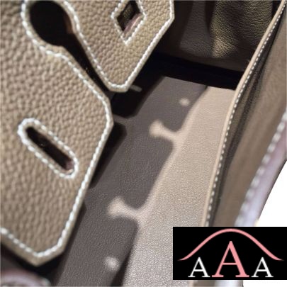 HERMES BIRKIN 25 BAG ETOUPE TOGO GHW-2.jpg