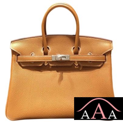 HERMES BIRKIN 25 BAG GOLD TOGO SHW-1.jpg