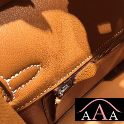 HERMES BIRKIN 25 BAG GOLD TOGO SHW-2.jpg