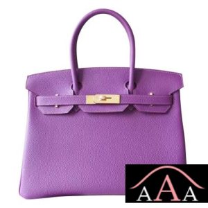 HERMES BIRKIN 25 BAG P9 ANEMONE TOGO GHW-1.jpg