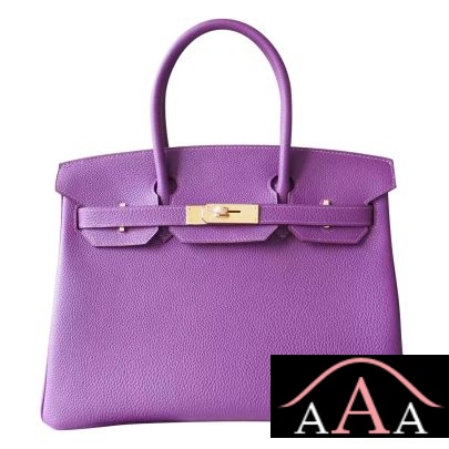 HERMES BIRKIN 25 BAG P9 ANEMONE TOGO GHW-1.jpg