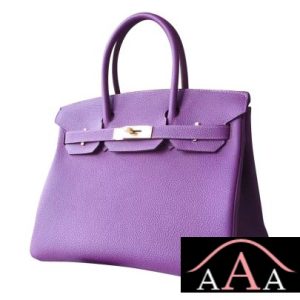 HERMES BIRKIN 25 BAG P9 ANEMONE TOGO GHW-3.jpg