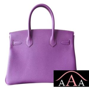 HERMES BIRKIN 25 BAG P9 ANEMONE TOGO GHW-4.jpg