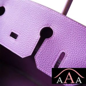 HERMES BIRKIN 25 BAG P9 ANEMONE TOGO GHW-5.jpg