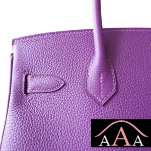 HERMES BIRKIN 25 BAG P9 ANEMONE TOGO GHW-6.jpg