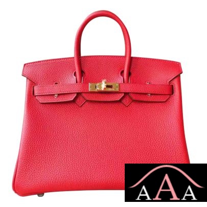 HERMES BIRKIN 25 BAG Q5 ROUGE CASAQUE TOGO GHW-1.jpg