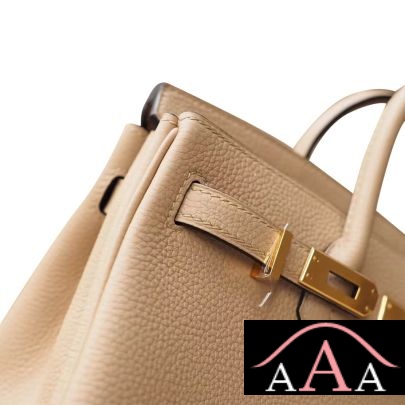 HERMES BIRKIN 25 BAG S2 TRENCH TOGO GHW-2.jpg