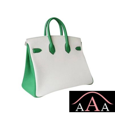 HERMES BIRKIN 25 HANDBAG 01 BLANC AND 1K BAMBOO TOGO GHW-5.jpg