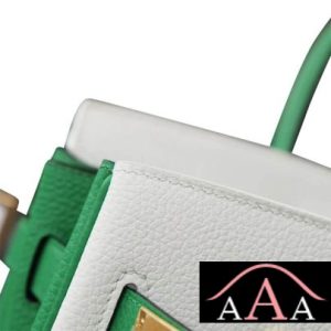 HERMES BIRKIN 25 HANDBAG 01 BLANC AND 1K BAMBOO TOGO GHW-6.jpg