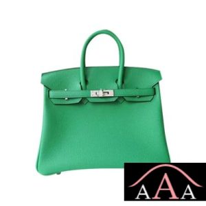 HERMES BIRKIN 25 HANDBAG 1K BAMBOO EVERCOLOR SHW-1.jpg