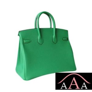 HERMES BIRKIN 25 HANDBAG 1K BAMBOO EVERCOLOR SHW-3.jpg