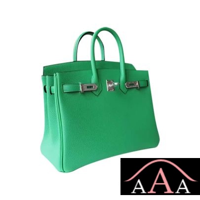 HERMES BIRKIN 25 HANDBAG 1K BAMBOO EVERCOLOR SHW-4.jpg