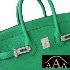 HERMES BIRKIN 25 HANDBAG 1K BAMBOO EVERCOLOR SHW-5.jpg