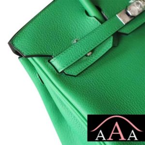 HERMES BIRKIN 25 HANDBAG 1K BAMBOO EVERCOLOR SHW-6.jpg