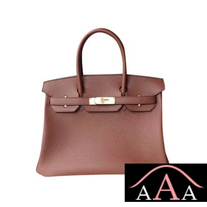 HERMES BIRKIN 25 HANDBAG 4G BRULEE TOGO