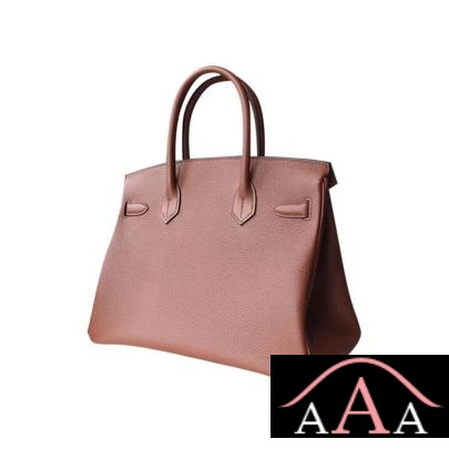 HERMES BIRKIN 25 HANDBAG 4G BRULEE TOGO GHW-4.jpg