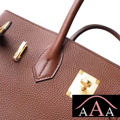 HERMES BIRKIN 25 HANDBAG 4G BRULEE TOGO GHW-5.jpg