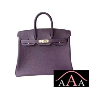 HERMES BIRKIN 25 HANDBAG 59 RAISIN TOGO GHW-1.jpg