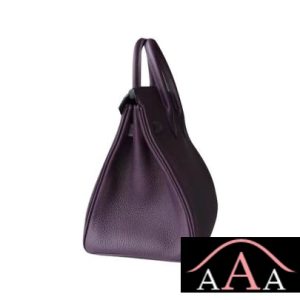 HERMES BIRKIN 25 HANDBAG 59 RAISIN TOGO GHW-4.jpg