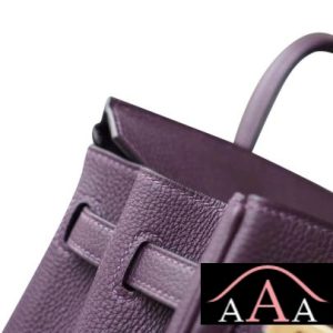 HERMES BIRKIN 25 HANDBAG 59 RAISIN TOGO GHW-5.jpg