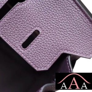 HERMES BIRKIN 25 HANDBAG 59 RAISIN TOGO GHW-6.jpg