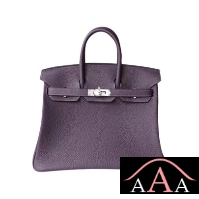 HERMES BIRKIN 25 HANDBAG 59 RAISIN TOGO SHW-1.jpg