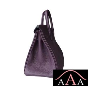 HERMES BIRKIN 25 HANDBAG 59 RAISIN TOGO SHW-4.jpg