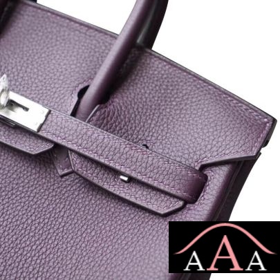 HERMES BIRKIN 25 HANDBAG 59 RAISIN TOGO SHW-5.jpg