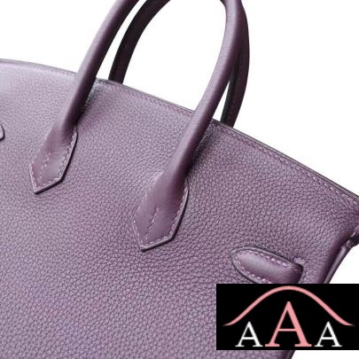 HERMES BIRKIN 25 HANDBAG 59 RAISIN TOGO SHW-6.jpg