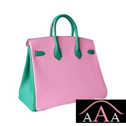 HERMES BIRKIN 25 HANDBAG 5P PINK AND U4 VERT VERTIGO CHEVERE GHW-3.jpg