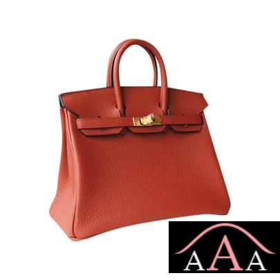 HERMES BIRKIN 25 HANDBAG 6C CUIVRE TOGO GHW-3.jpg