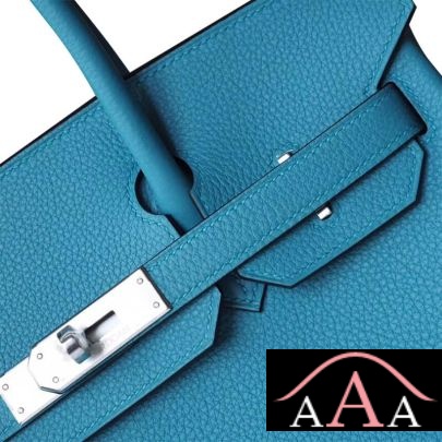 HERMES BIRKIN 25 HANDBAG 7B TURQUOISE BLUE TOGO SHW-4.jpg