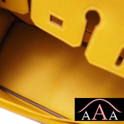 HERMES BIRKIN 25 HANDBAG 9D AMBRE EPSOM GHW-2.jpg