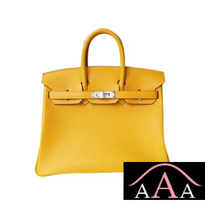 HERMES BIRKIN 25 HANDBAG 9D AMBRE TOGO GHW-1.jpg