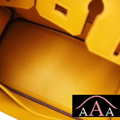 HERMES BIRKIN 25 HANDBAG 9D AMBRE TOGO GHW-2.jpg