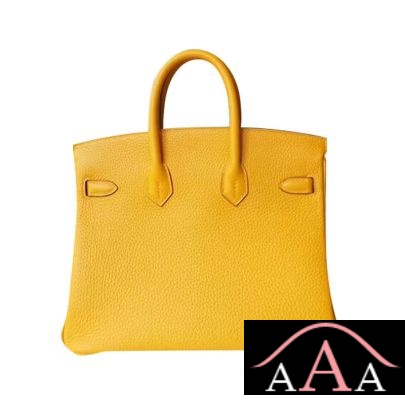 HERMES BIRKIN 25 HANDBAG 9D AMBRE TOGO GHW-3.jpg